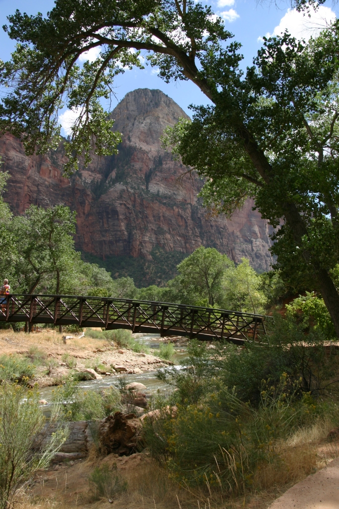 05 - Zion NP (7).jpg